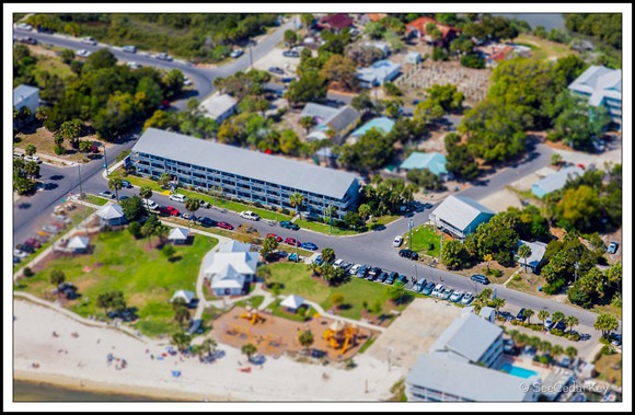 Miniature Cedar Key-1