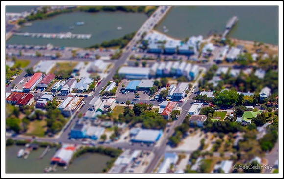 Miniature Cedar Key-3