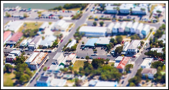 Miniature Cedar Key-4