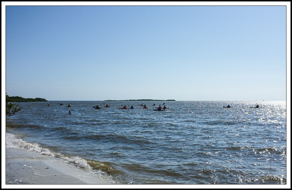 Cedar Key Kayakers-1