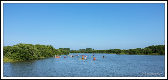 Cedar Key Kayakers-3