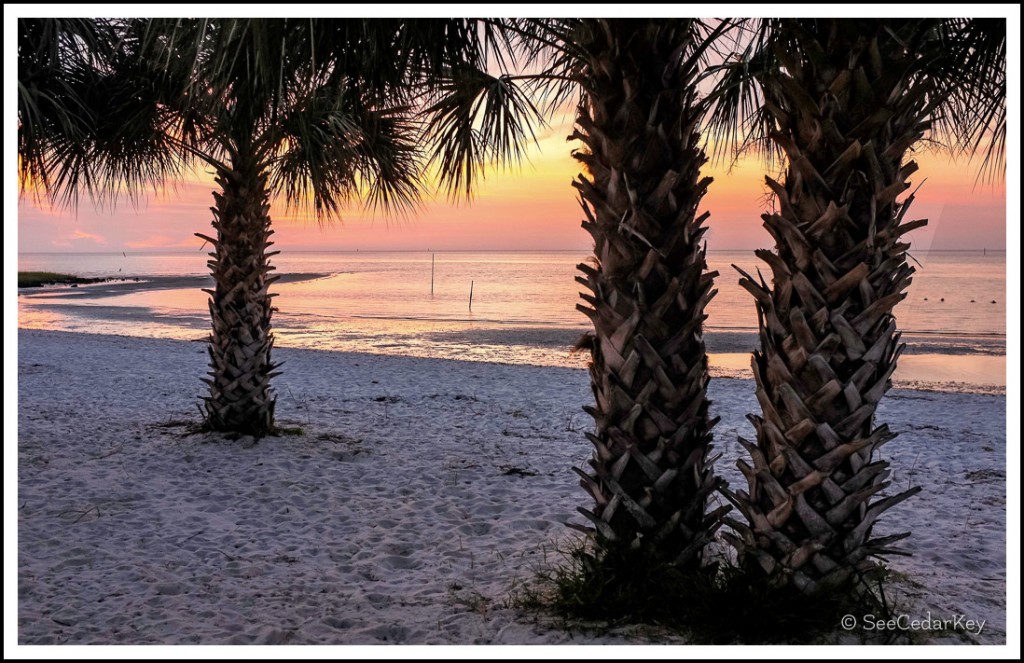 Cedar Key Morning Sun