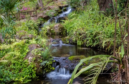 A beautiful waterfall at Rainbow Springs State Park